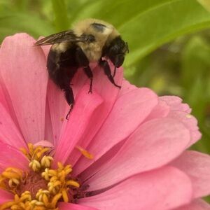 Hi!! New posh account here!